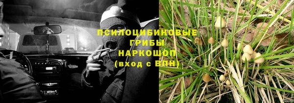 ешки Алексеевка