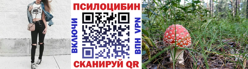 даркнет состав  Муравленко  Псилоцибиновые грибы MAGIC MUSHROOMS  наркота 