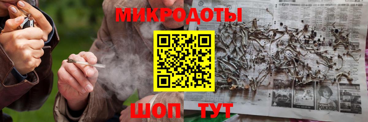 Псилоцибиновые грибы Cubensis Муравленко